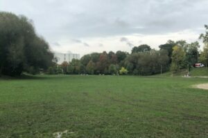 Ineffective Use of Public Space as Seen in Bickford Park