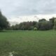 Ineffective Use of Public Space as Seen in Bickford Park