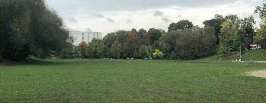 Ineffective Use of Public Space as Seen in Bickford Park