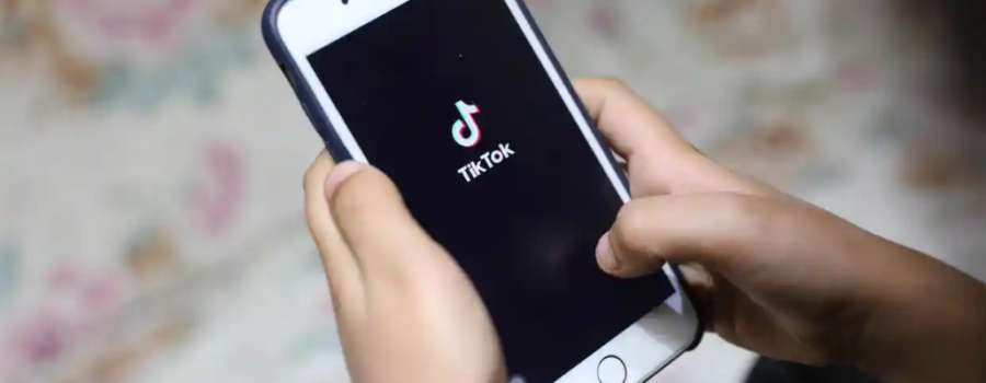 TikTok: The Participatory Panopticon